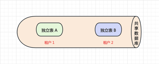 SCHEMA 模式